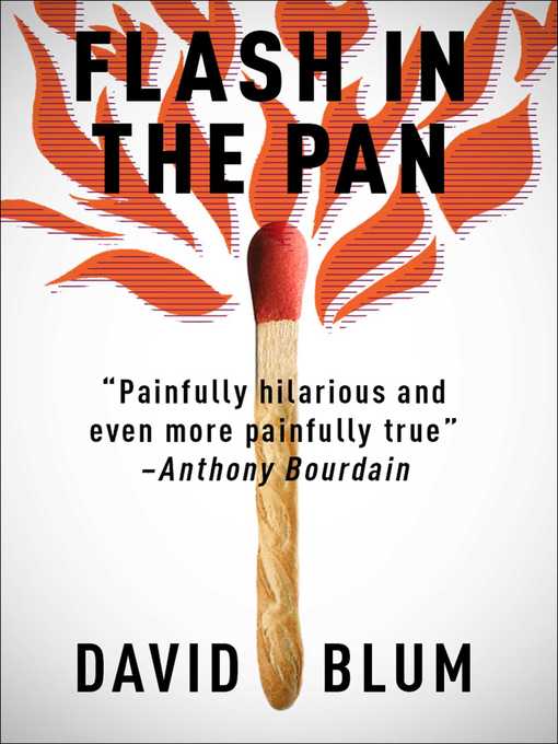 Cover image for Flash in the Pan